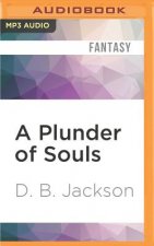 A Plunder of Souls
