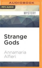 Strange Gods: A Mystery