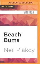 Beach Bums: Gay Erotic Fiction