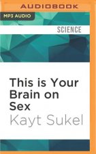 This Is Your Brain on Sex: The Science Behind the Search for Love