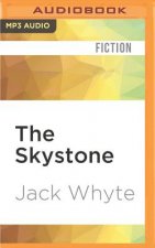 The Skystone