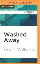 Washed Away: How the Great Flood of 1913, America's Most Widespread Natural Disaster, Terrorized a Nation and Changed It Forever