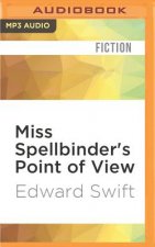 Miss Spellbinder's Point of View: A Biography of the Immagination