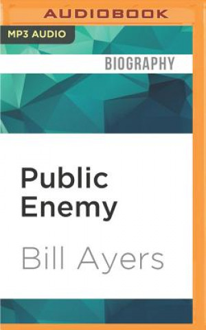 Public Enemy: Memoirs of Dissident Days