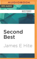Second Best: The Rise of the American Vice Presidency