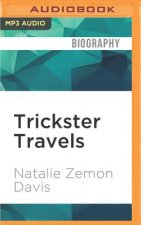 Trickster Travels: A Sixteenth-Century Muslim Between Worlds