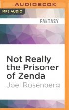 Not Really the Prisoner of Zenda