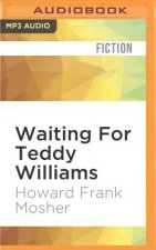 Waiting for Teddy Williams