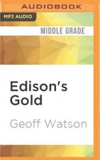 Edison's Gold