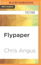 Flypaper