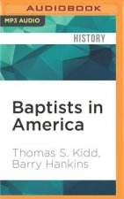 Baptists in America: A History