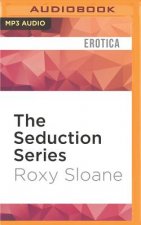 The Seduction Series: Parts 1-4