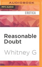 Reasonable Doubt: Complete Series