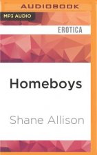 Homeboys: Gay Urban Erotica