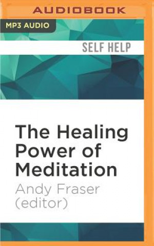 The Healing Power of Meditation: Leading Experts on Buddhism, Psychology, and Medicine Explore the Health Benefits of Contemplative Practice