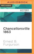 Chancellorsville 1863: The Souls of the Brave