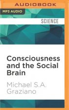 Consciousness and the Social Brain