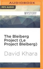 The Bleiberg Project (Le Project Bleiberg)