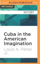 Cuba in the American Imagination: Metaphor and the Imperial Ethos