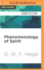Phenomenology of Spirit