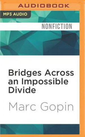 Bridges Across an Impossible Divide: The Inner Lives of Arab and Jewish Peacemakers