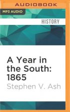 A Year in the South: 1865: The True Story of Four Ordinary People Who Lived Through the Most Tumultuous Twelve Months in History