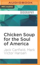 Chicken Soup for the Soul of America: Stories to Heal the Heart of Our Nation