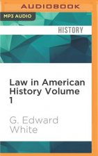 Law in American Historyvolume 1: From the Colonial Years Through the Civil War