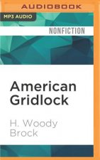 American Gridlock: Why the Right and Left Are Both Wrong - Commonsense 101 Solutions to the Economic Crises