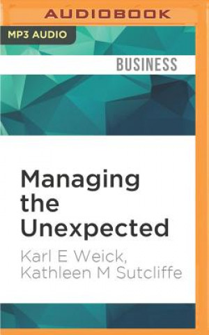 Managing the Unexpected: Resilient Performance in an Age of Uncertainty, 2nd Edition