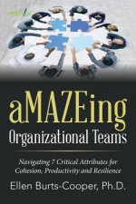 aMAZEing Organizational Teams
