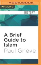 A Brief Guide to Islam: Brief Histories