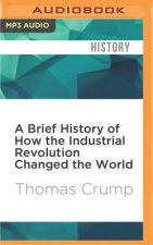 A Brief History of How the Industrial Revolution Changed the World: Brief Histories