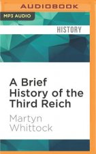 A Brief History of the Third Reich: The Rise and Fall of the Nazis: Brief Histories