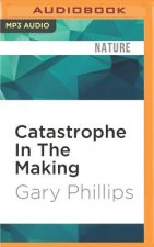 Catastrophe in the Making: The Engineering of Katrina and the Disaters of Tomorrow