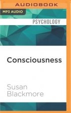 Consciousness: A Very Short Introduction