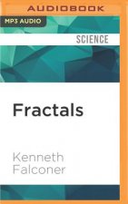 Fractals: A Very Short Introduction