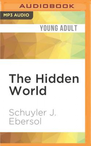 The Hidden World