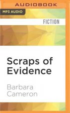 Scraps of Evidence