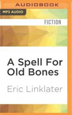 A Spell for Old Bones