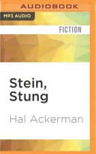 Stein, Stung