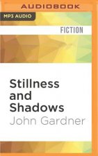 Stillness and Shadows