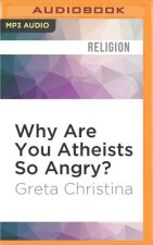 Why Are You Atheists So Angry?: 99 Things That Piss Off the Godless
