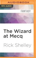 The Wizard at Mecq