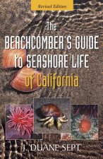 Beachcomber's Guide to Seashore Life of California