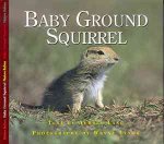 Baby Ground Squirrel