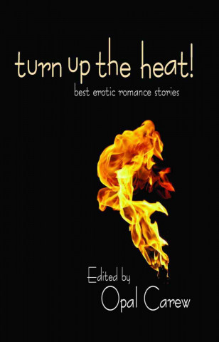 Turn Up the Heat: Best Erotic Romance Novellas