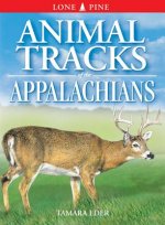 Animal Tracks of the Appalachians