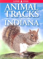 Animal Tracks of Indiana
