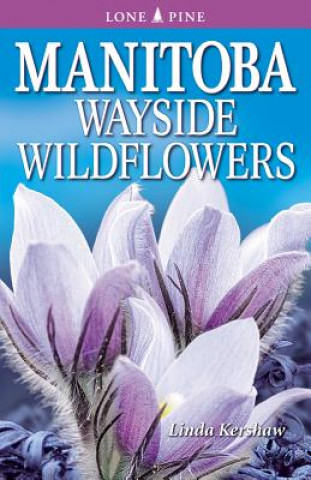 Manitoba Wayside Wildflowers